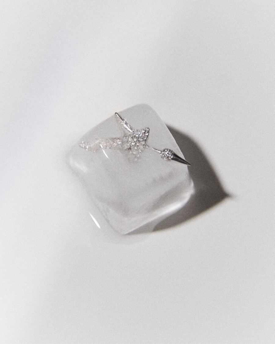 Viva La Vika показал праздничную коллекцию, вдохновленную старым Голливудом (фото 5)