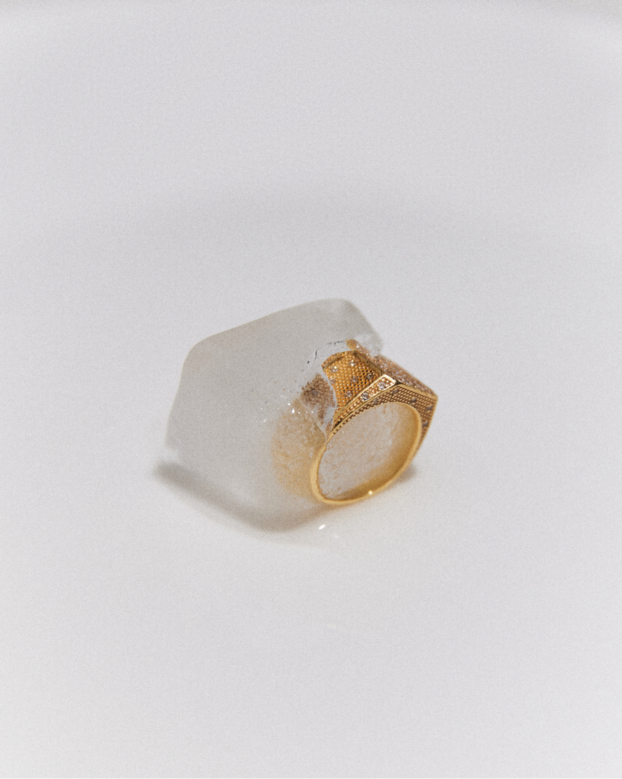 Viva La Vika показал праздничную коллекцию, вдохновленную старым Голливудом (фото 2)