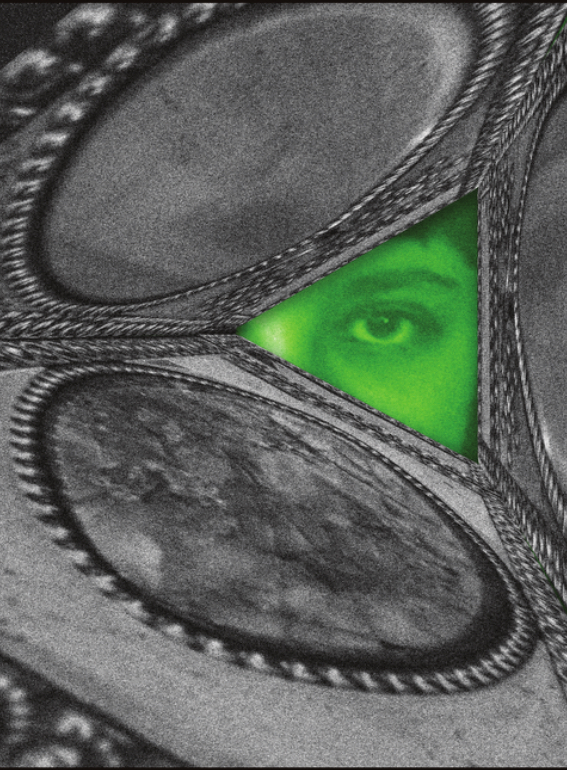 Дом радио запускает спецпроект «Вечернее собрание Марины Цветаевой» (фото 1)