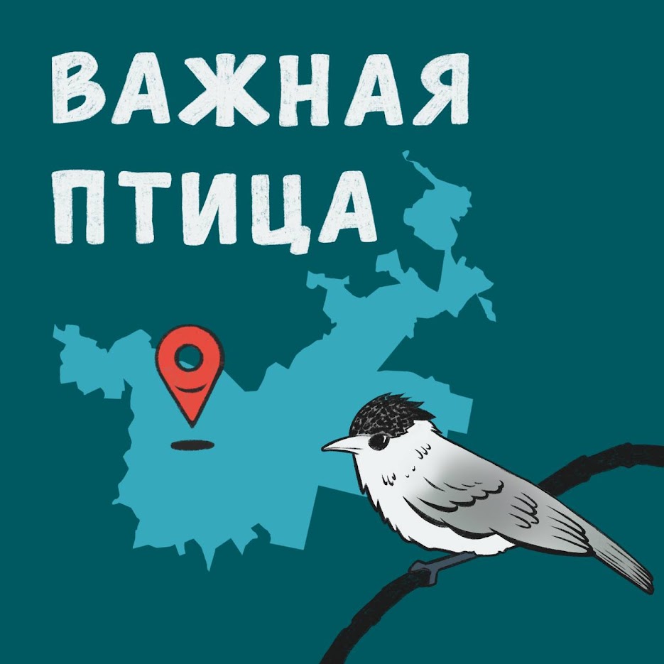 О наукограде Черноголовка вышел подкаст «Важная птица» (фото 1)