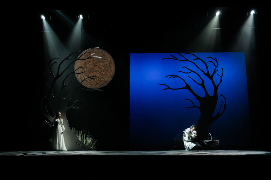 «Яндекс Афиша» покажет сказочный мюзикл «Карлик Нос» (фото 2)