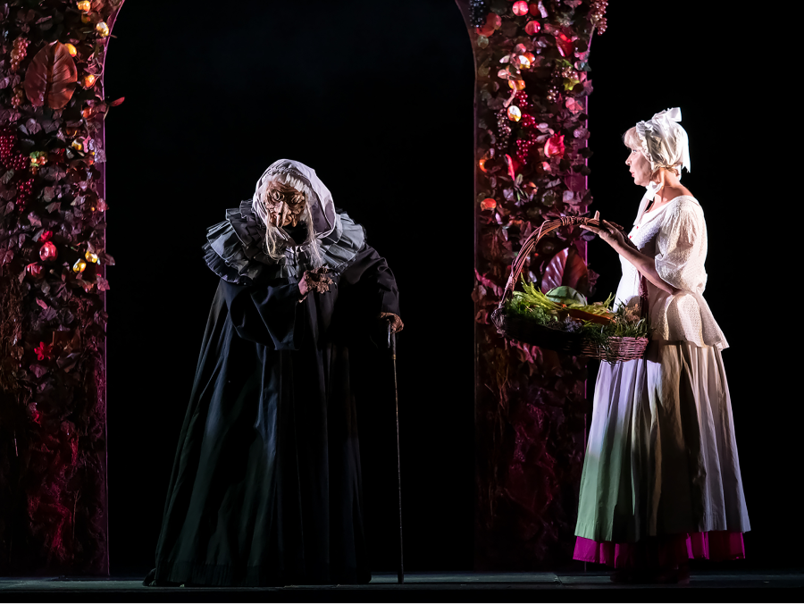 «Яндекс Афиша» покажет сказочный мюзикл «Карлик Нос» (фото 10)