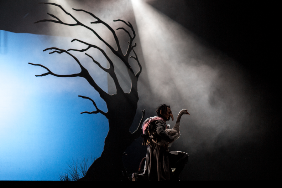 «Яндекс Афиша» покажет сказочный мюзикл «Карлик Нос» (фото 6)