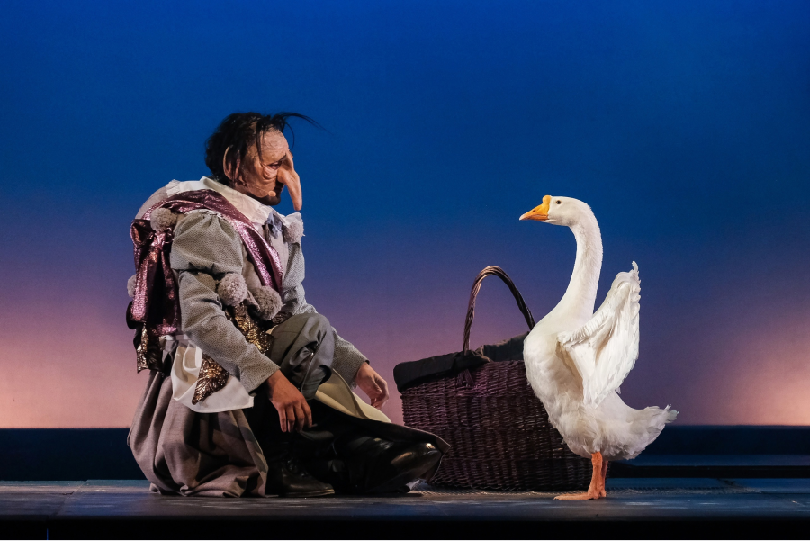 «Яндекс Афиша» покажет сказочный мюзикл «Карлик Нос» (фото 5)