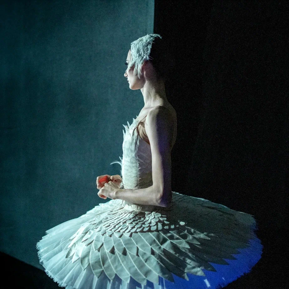 Михайловский театр подготовил специальную программу ко Дню святого Валентина (фото 4)