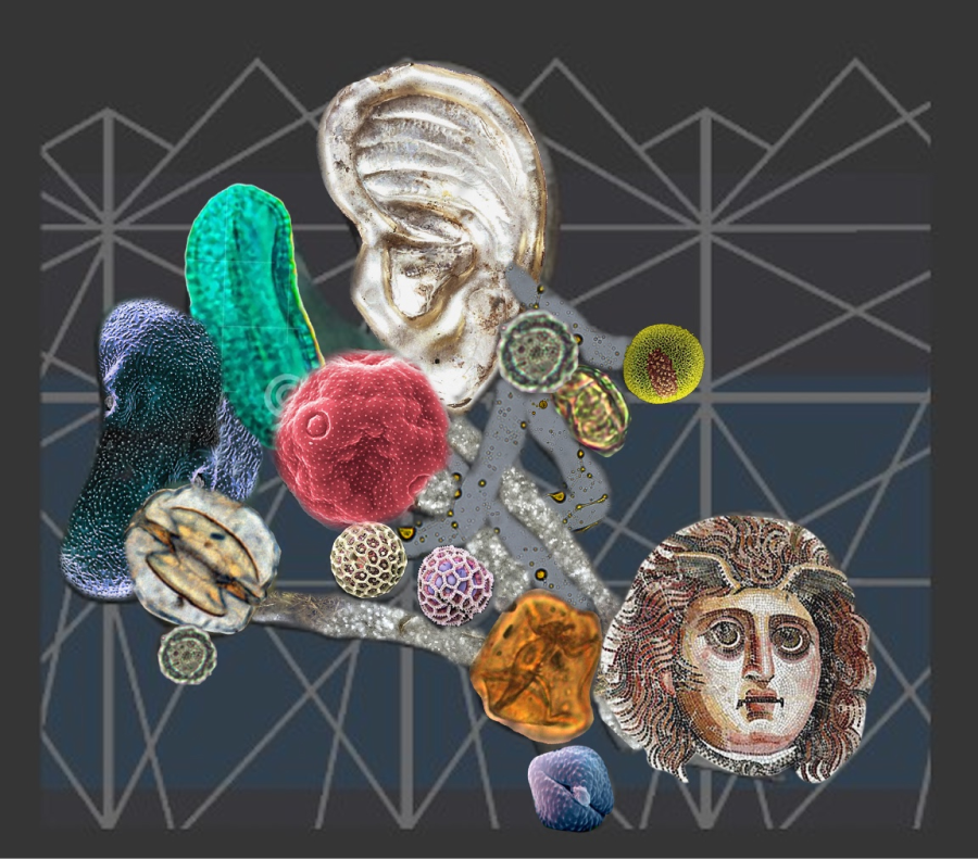 BoscoVesna представляет арт-коллаборацию с художницей Ириной Кориной (фото 6)