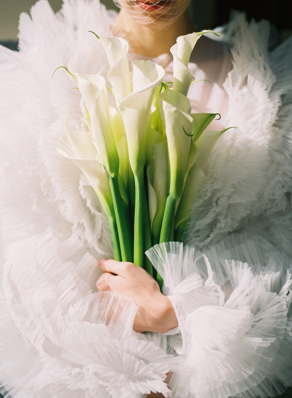 Rejo выпустил коллекцию для невест (фото 13)