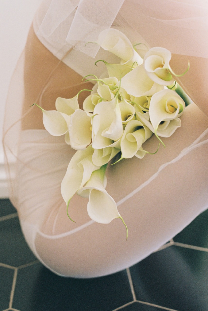 Rejo выпустил коллекцию для невест (фото 11)