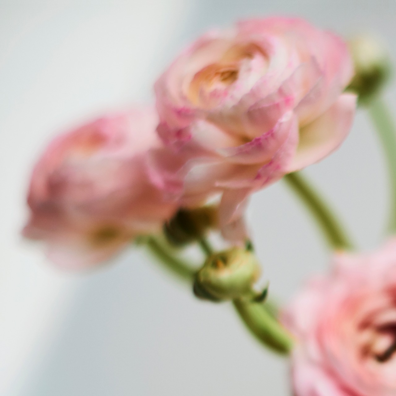 Галерея Serene проведет первую выставку в Лондоне (фото 4)