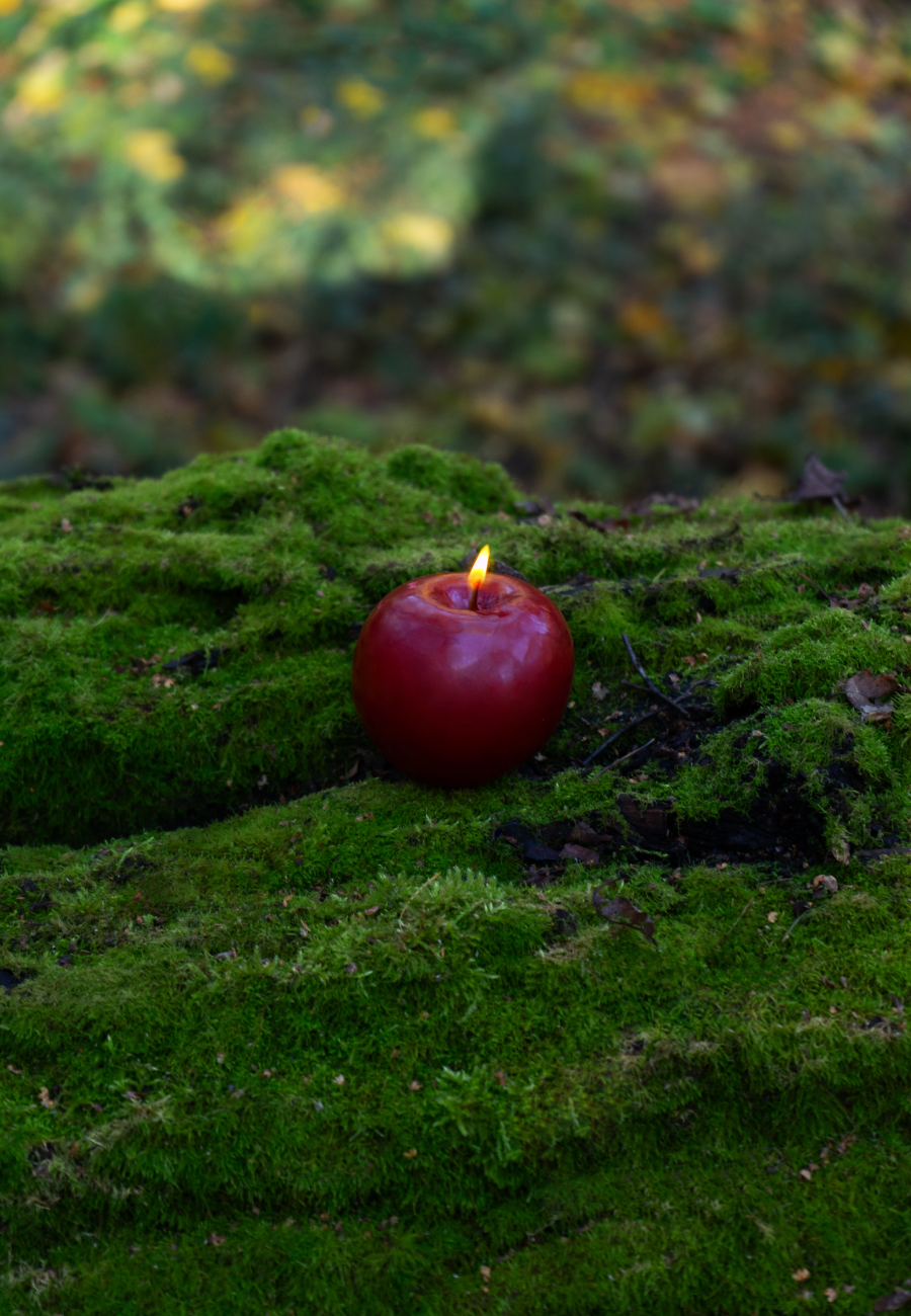 Новые дропы Sevenworlds и St.Erme: что нового в коллекциях локальных брендов (фото 20)