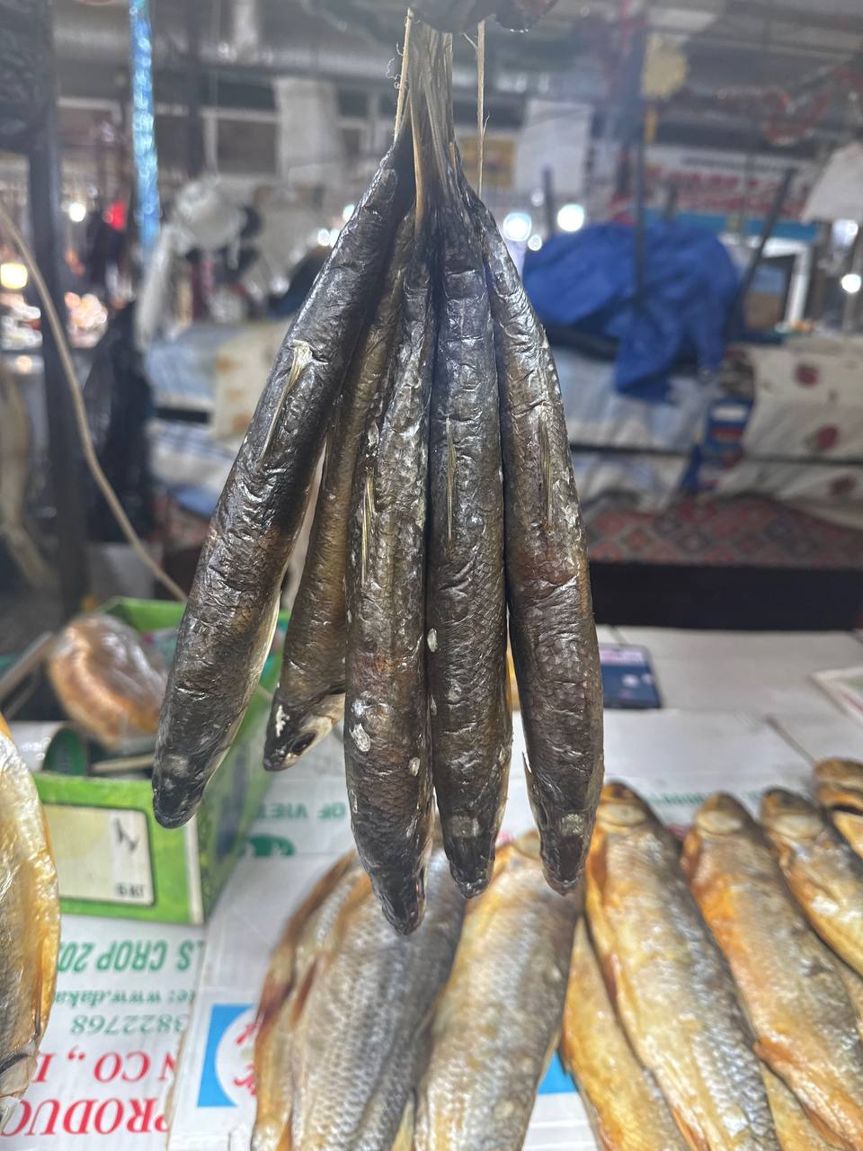 Приора, «Папаха» и Патрики: гид по Дагестану (фото 39)