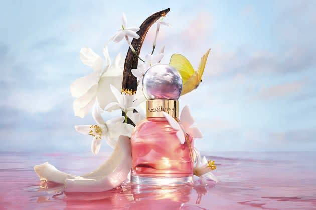 Cacharel выпустит первый аромат за семь лет (фото 1)