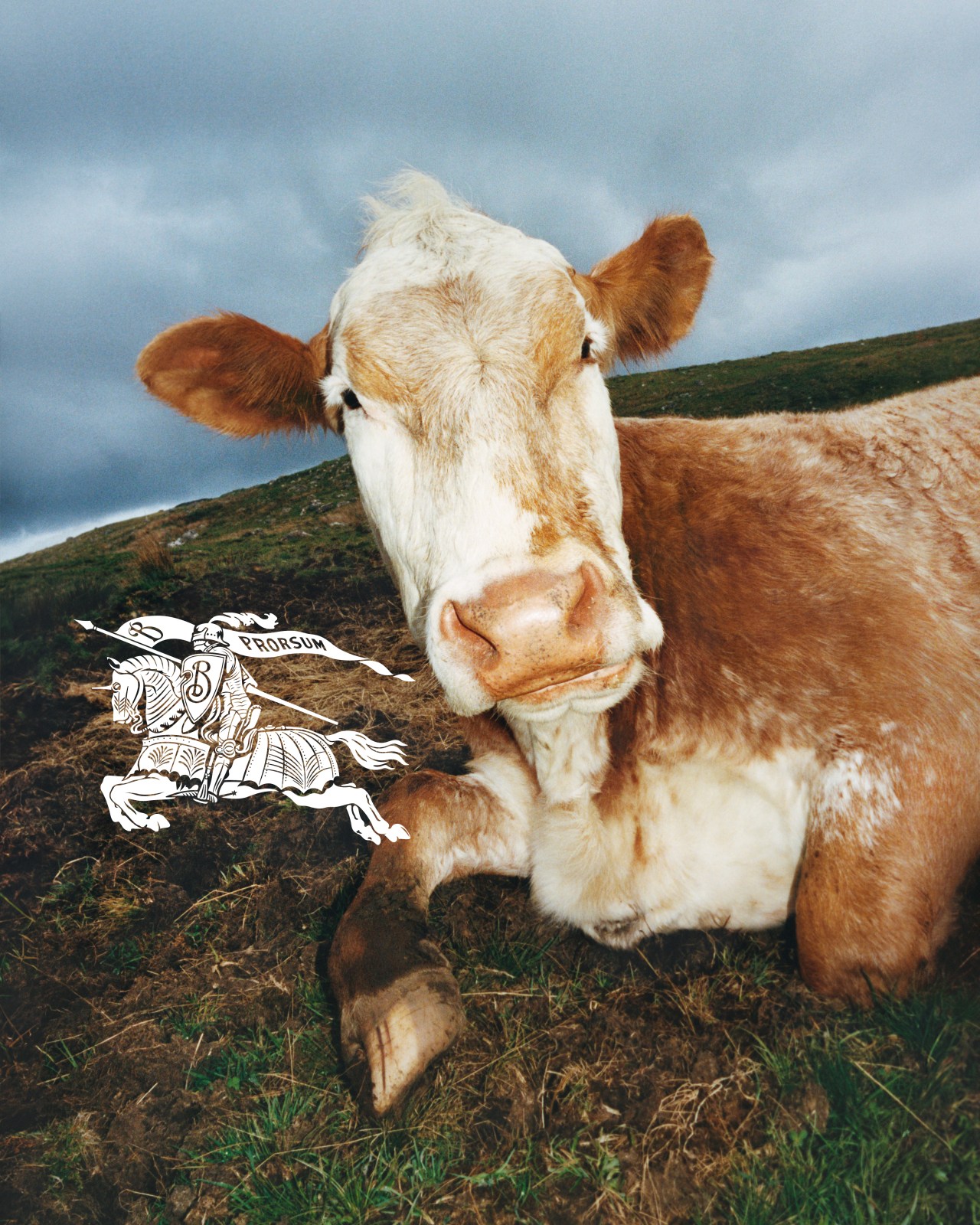 Рыцарь Burberry Prorsum и клатч The Pouch Bottega Veneta: знаковые креативные решения Даниела Ли (фото 25)