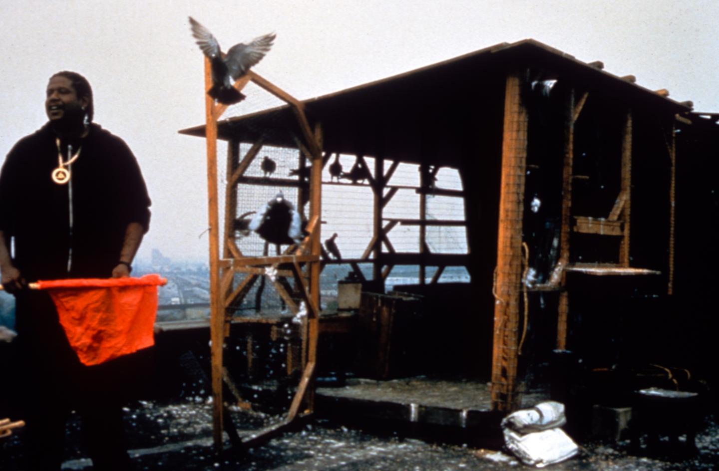 «Сломанные цветы», «Мертвец» и еще 7 фильмов, которые стоит пересмотреть в день рождения Джима Джармуша (фото 4)