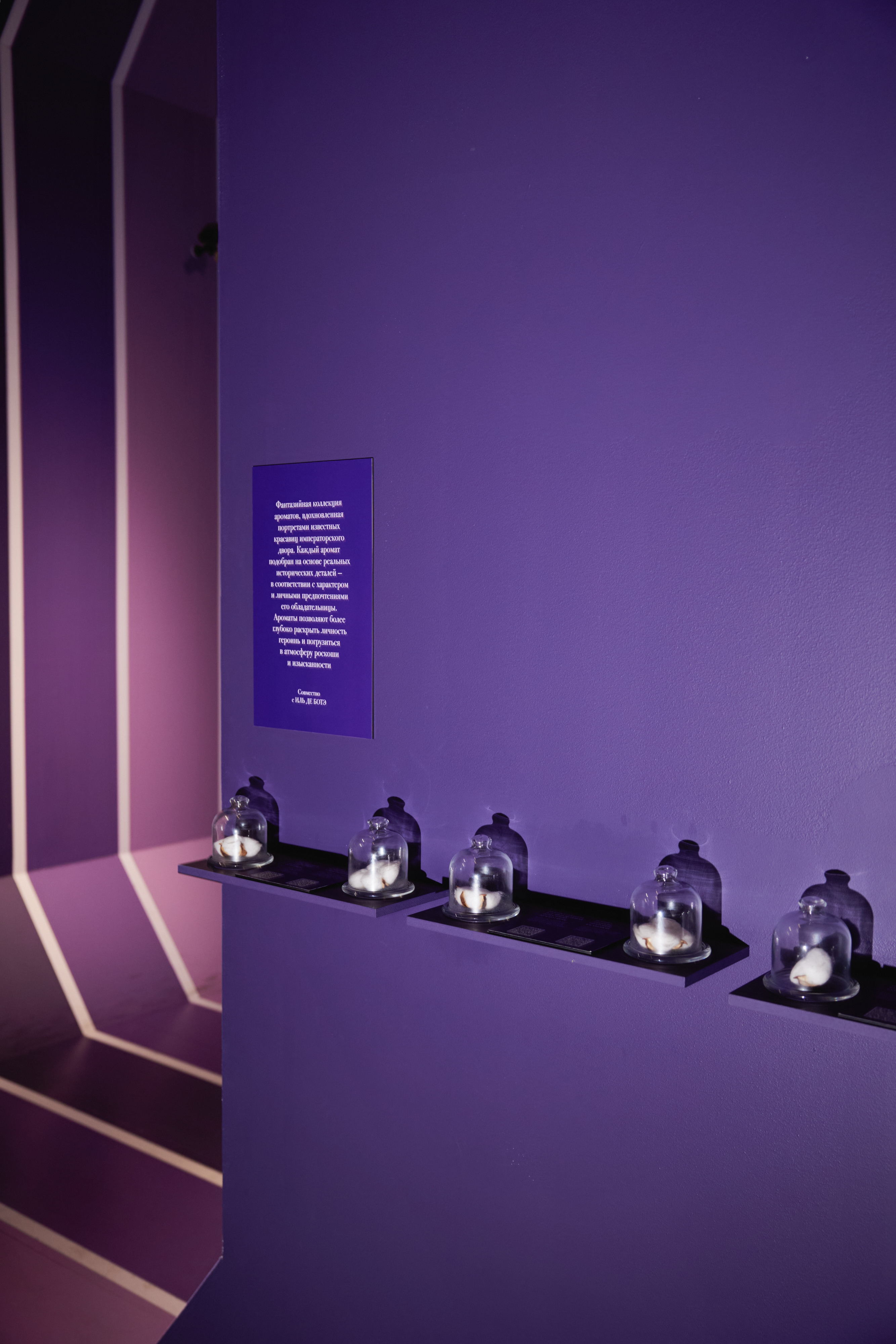 ИЛЬ ДЕ БОТЭ и Государственный исторический музей провели закрытую экскурсию (фото 3)