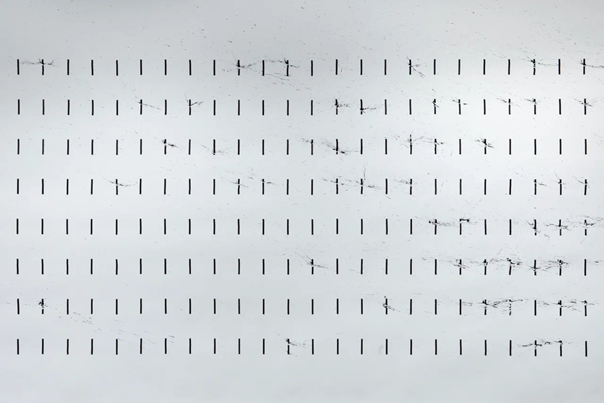 Надежда, утопия и быстротечность времени: куда идти и что смотреть в музеях в марте (фото 12)