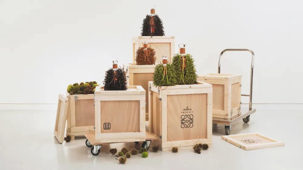 Loewe совместно с Hennessy выпустил кожаный футляр для напитков (фото 1)