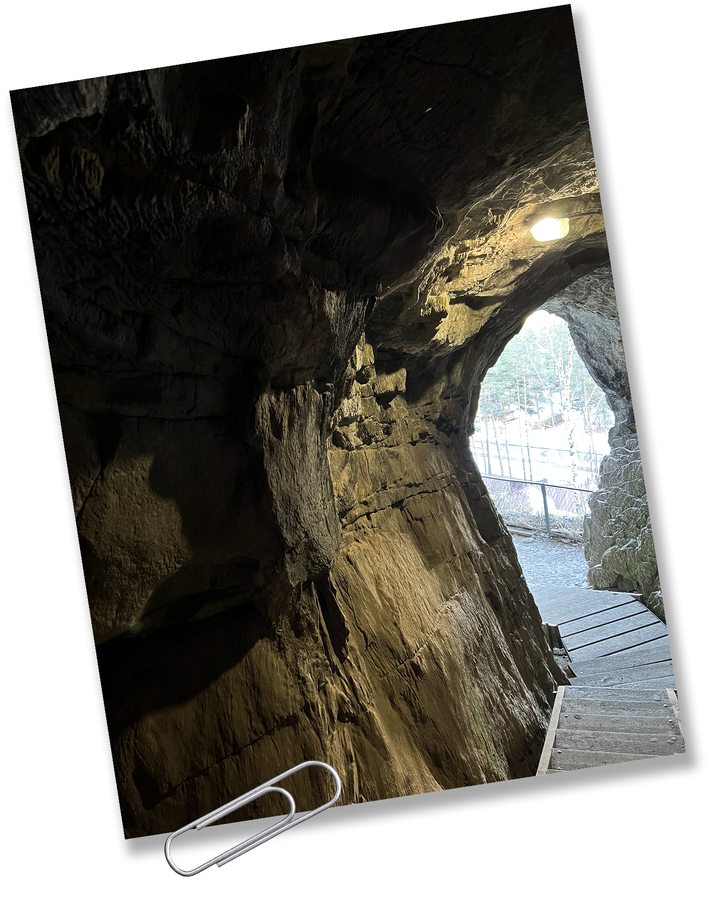 Заметки на полях. Свежий воздух и живописные горы Алтая (фото 6)