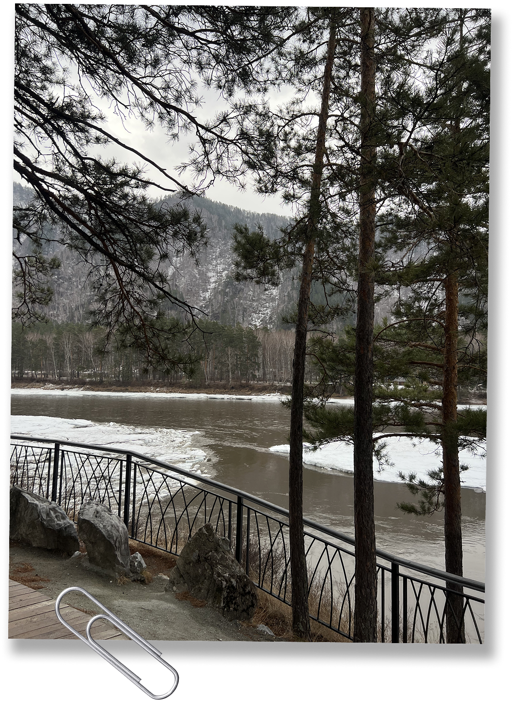 Заметки на полях. Свежий воздух и живописные горы Алтая (фото 10)