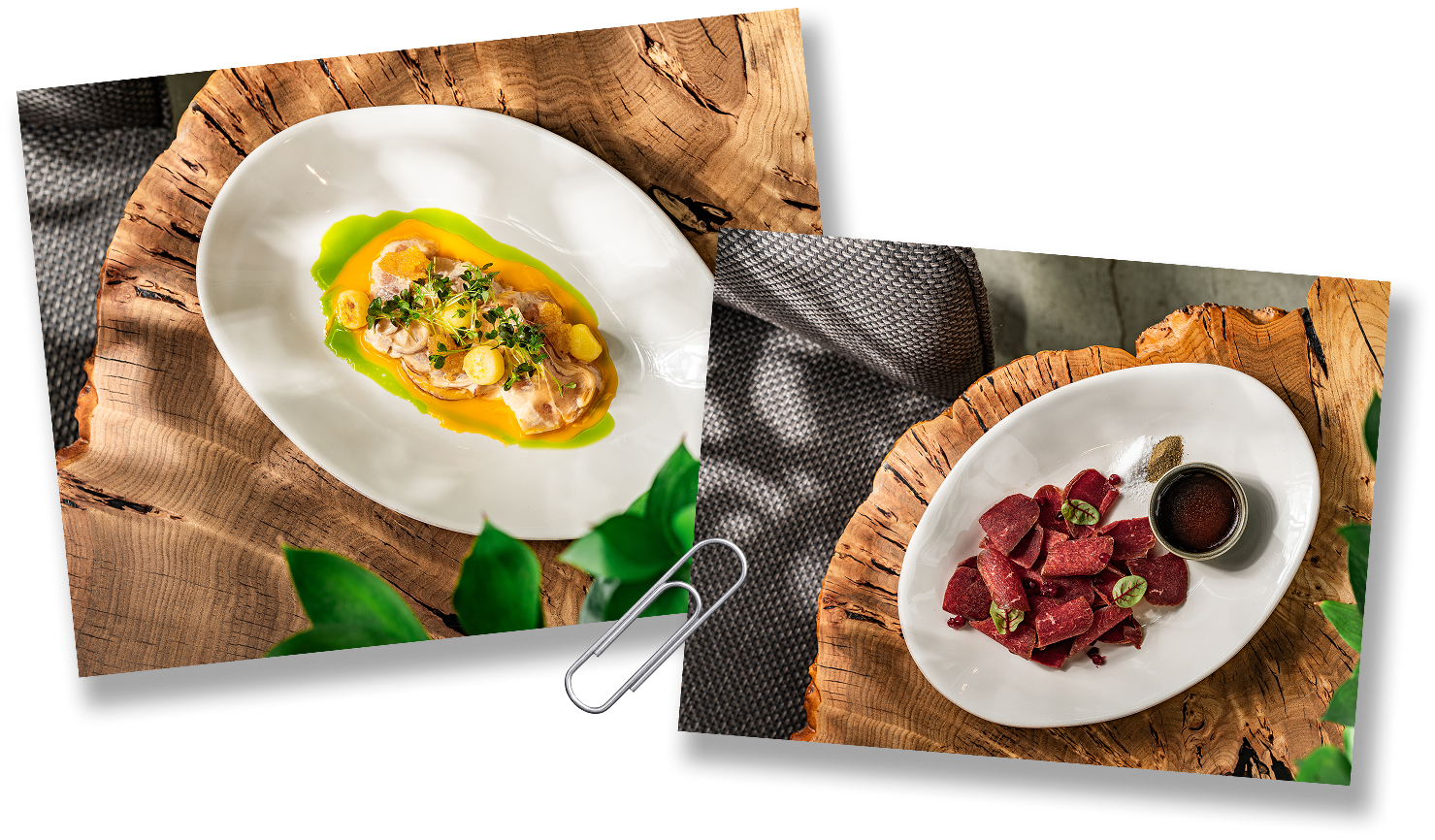 Заметки на полях. Свежий воздух и живописные горы Алтая (фото 21)