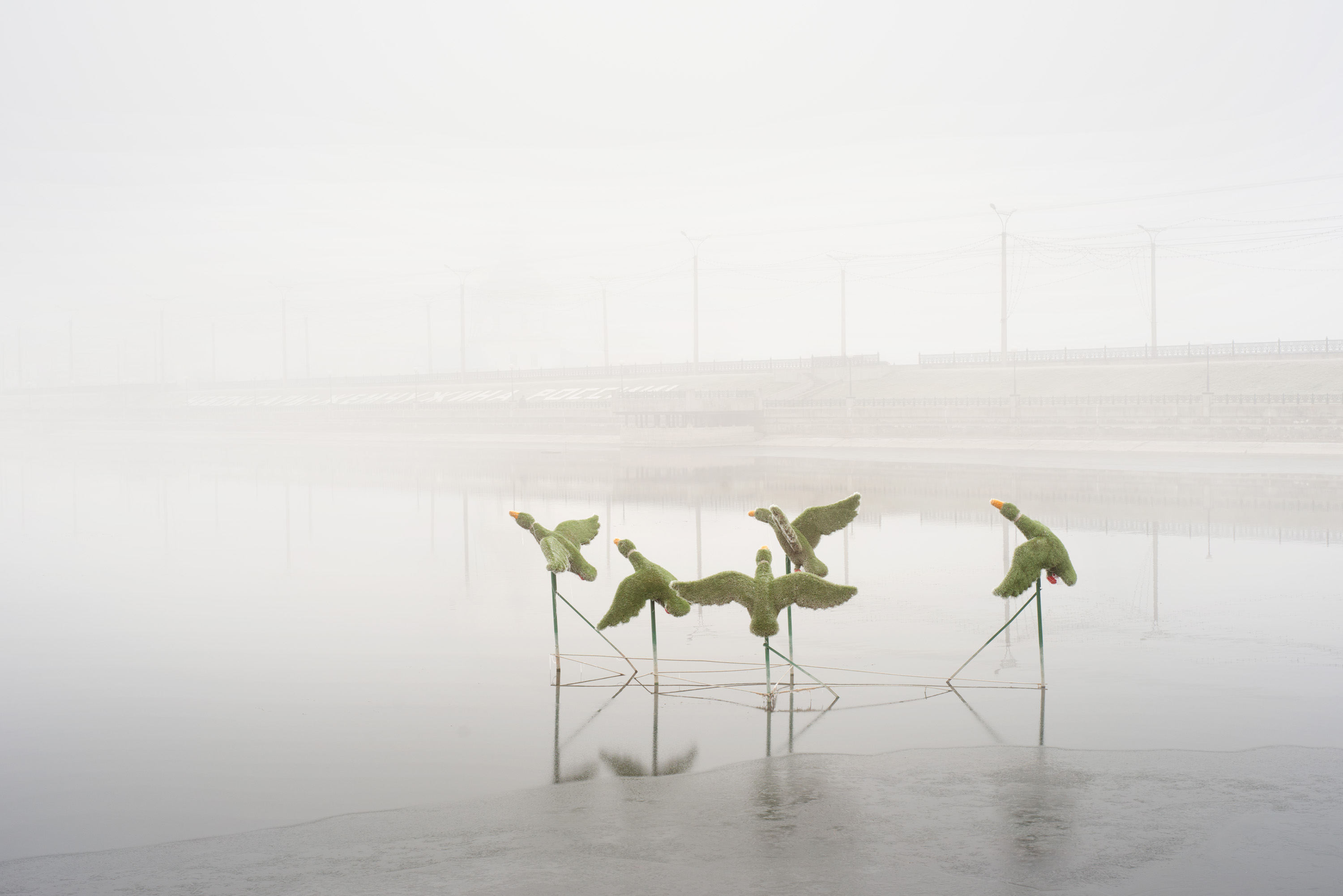 Ярмарки «Контур» и «Контур. Фото» объявили полный список участников (фото 3)