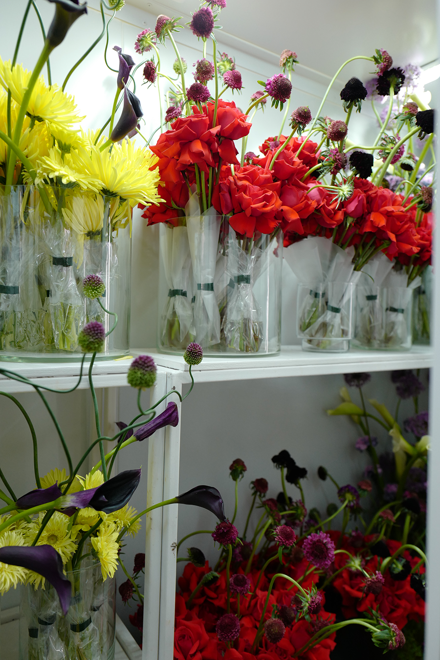 polnalyubvi выпустила новый альбом «Прощай и люби меня» (фото 5)