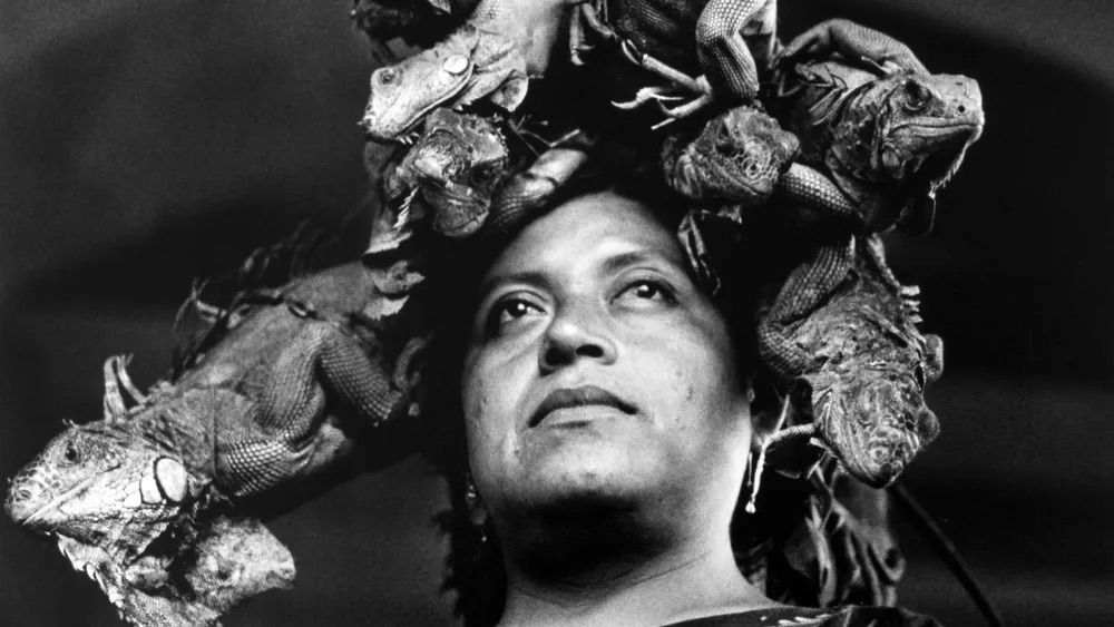 Dior выступит спонсором двух выставок в Японии (фото 1)