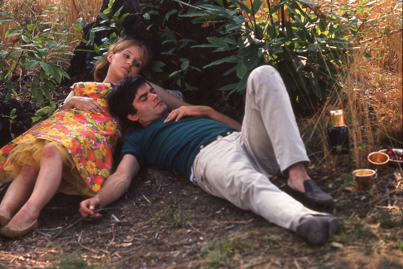 «Счастье»: 5 кадров из ужасающей, но залитой солнцем, семейной драмы Аньес Варда (фото 2)