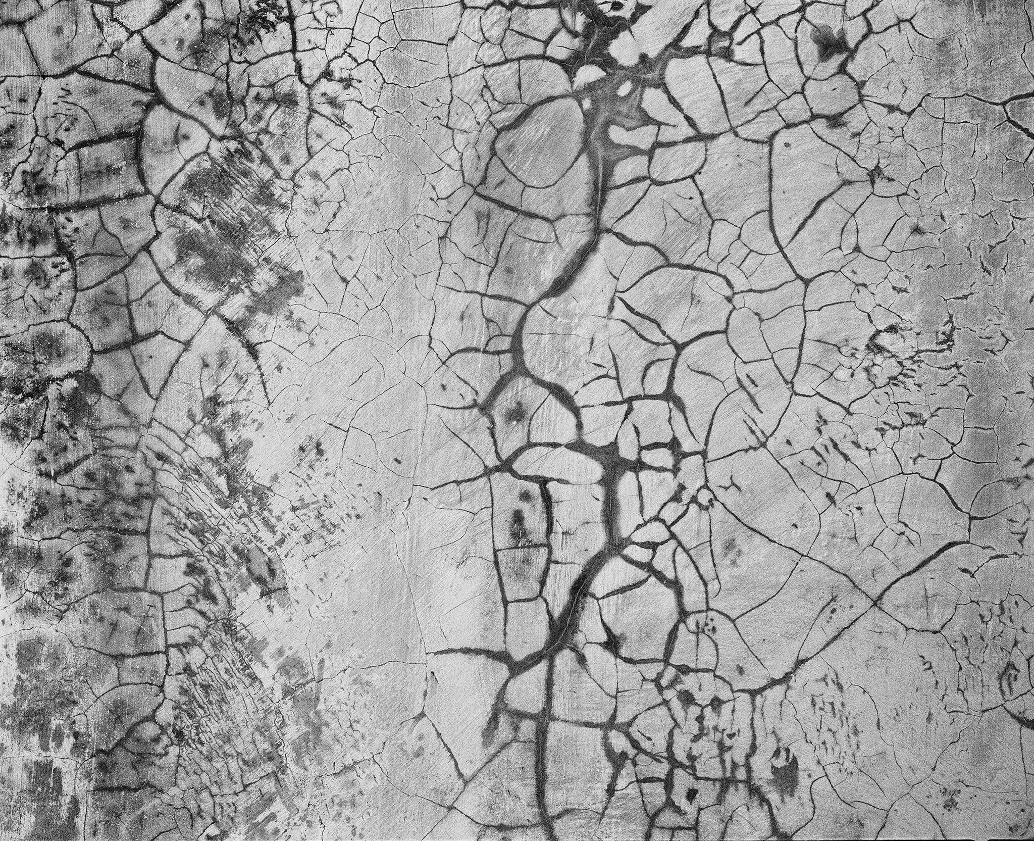 В галерее Ruarts открывается персональная выставка Алексея Партола (фото 4)