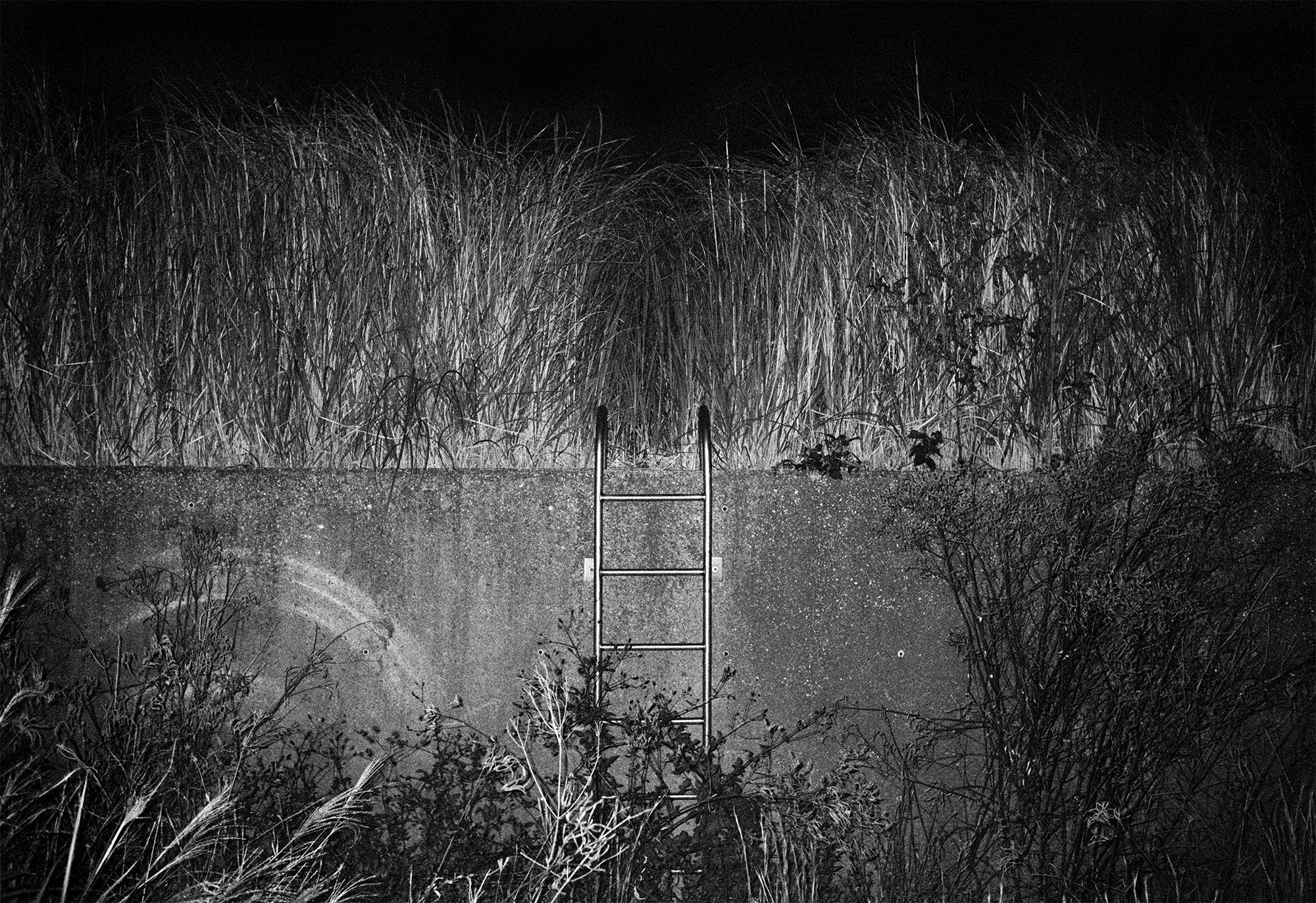 Порталы в другую реальность, цирк и возвращение в детство: куда идти и что смотреть в музеях в мае (фото 20)