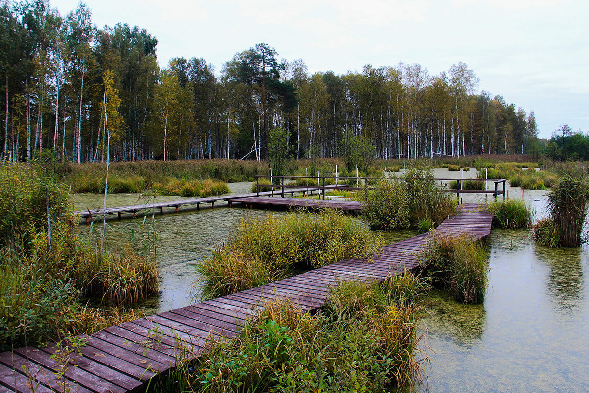Бегаполис: беговые маршруты Москвы, о которых вы могли не знать (фото 10)