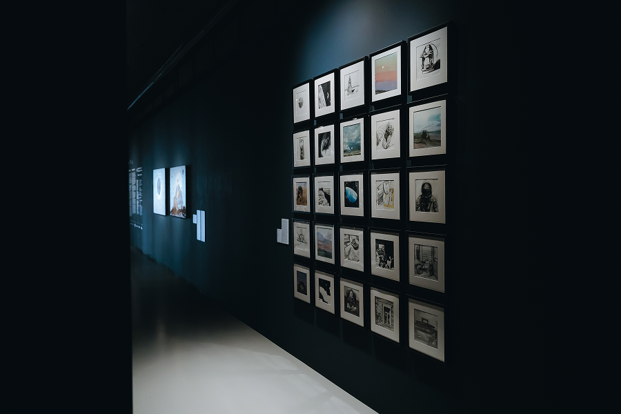 В Нижнем Новгороде пройдет первая международная Биеннале экологического искусства (фото 3)