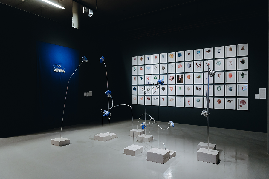 В Нижнем Новгороде пройдет первая международная Биеннале экологического искусства (фото 4)