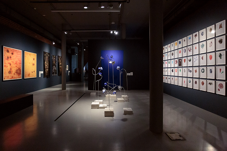 В Нижнем Новгороде пройдет первая международная Биеннале экологического искусства (фото 9)