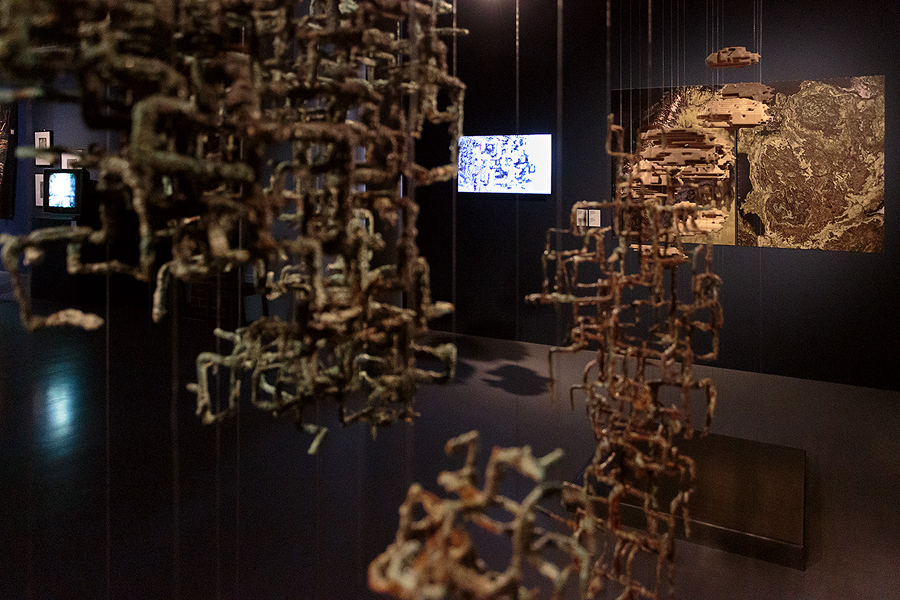 В Нижнем Новгороде пройдет первая международная Биеннале экологического искусства (фото 7)