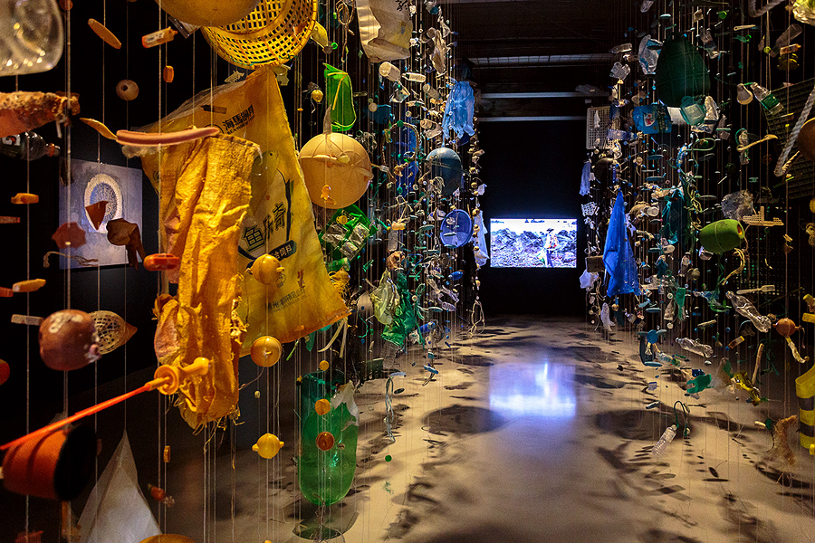 В Нижнем Новгороде пройдет первая международная Биеннале экологического искусства (фото 6)