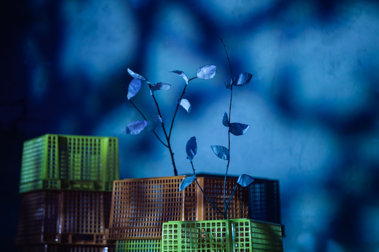 Мастерская Брусникина и театр «Практика» покажут совместный спектакль (фото 1)