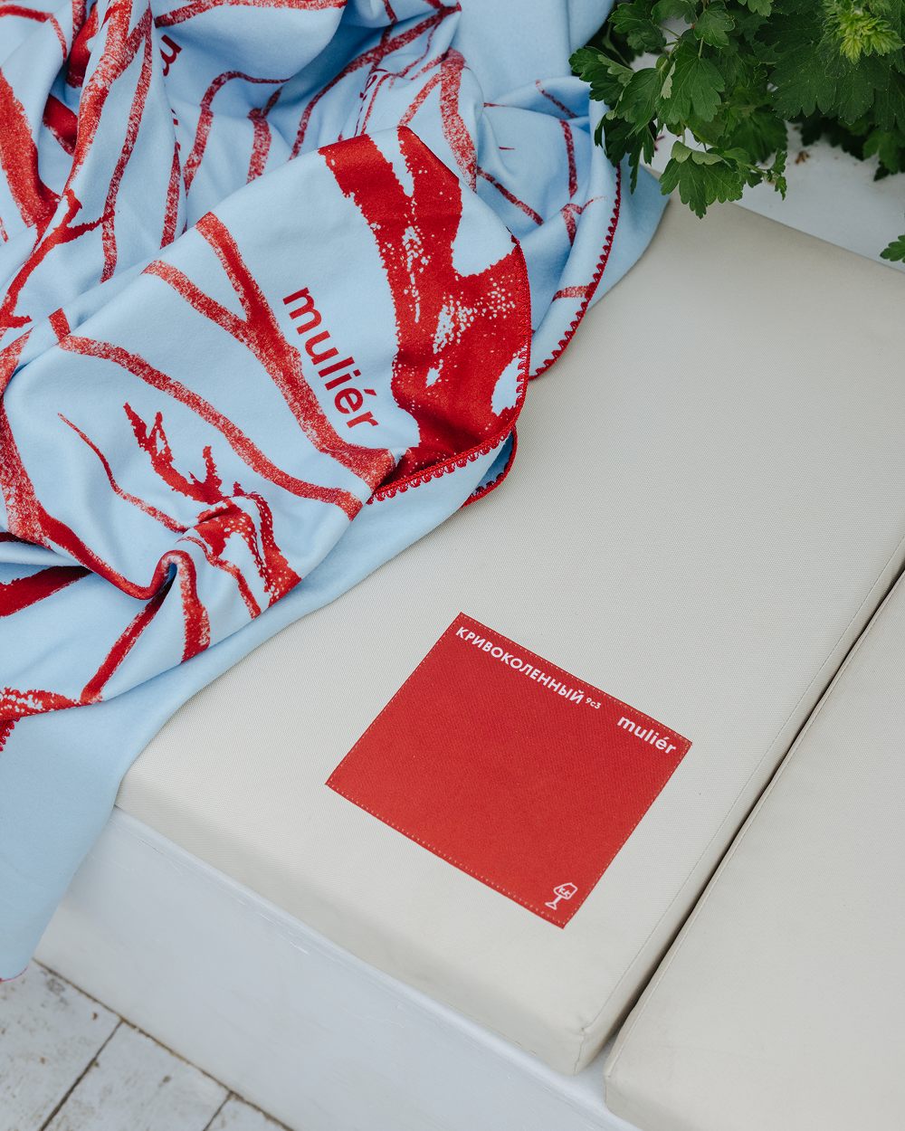 «Кривоколенный 9с3» и muliér запустили коллаборацию (фото 4)