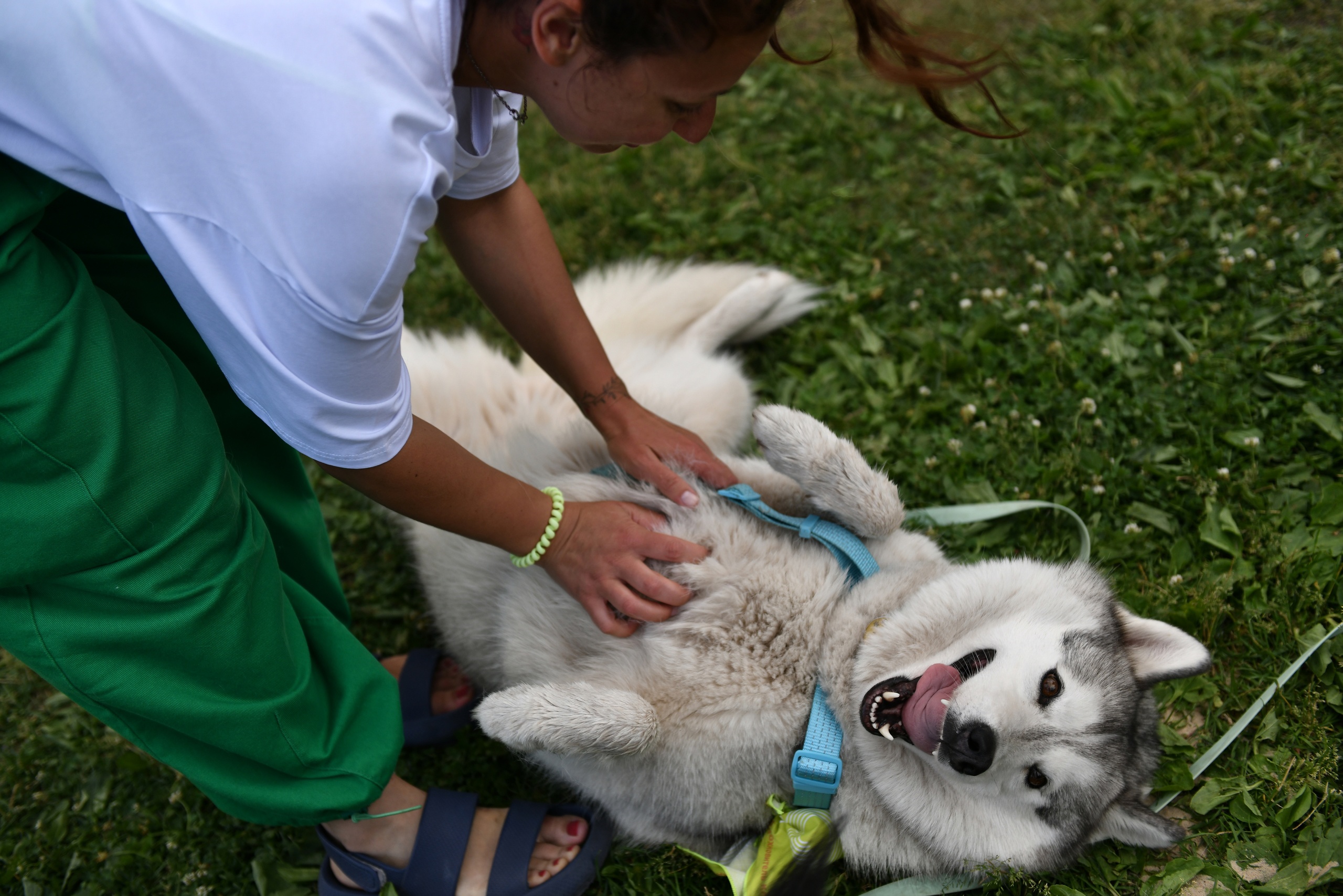 Летний книжный фестиваль «Смены» 2025: гид по главному литературному событию Казани (фото 18)