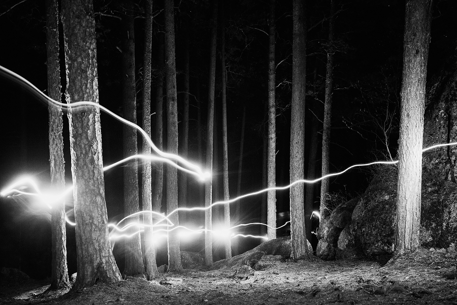 Стала известна образовательная программа ярмарки современного искусства Scan Fair (фото 1)