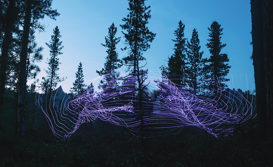 Стала известна образовательная программа ярмарки современного искусства Scan Fair (фото 3)