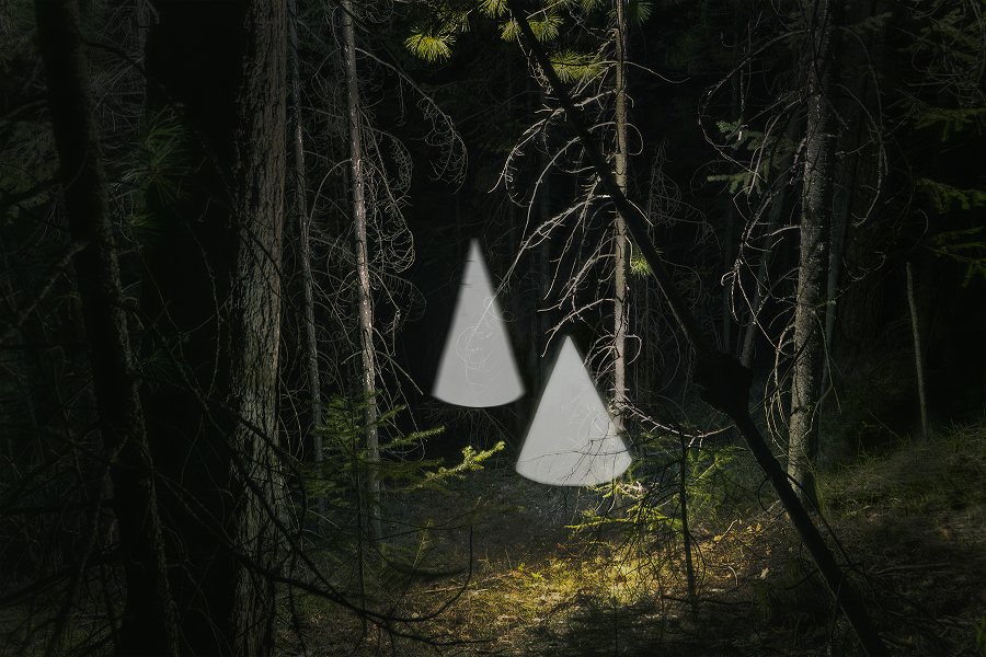 Стала известна образовательная программа ярмарки современного искусства Scan Fair (фото 2)