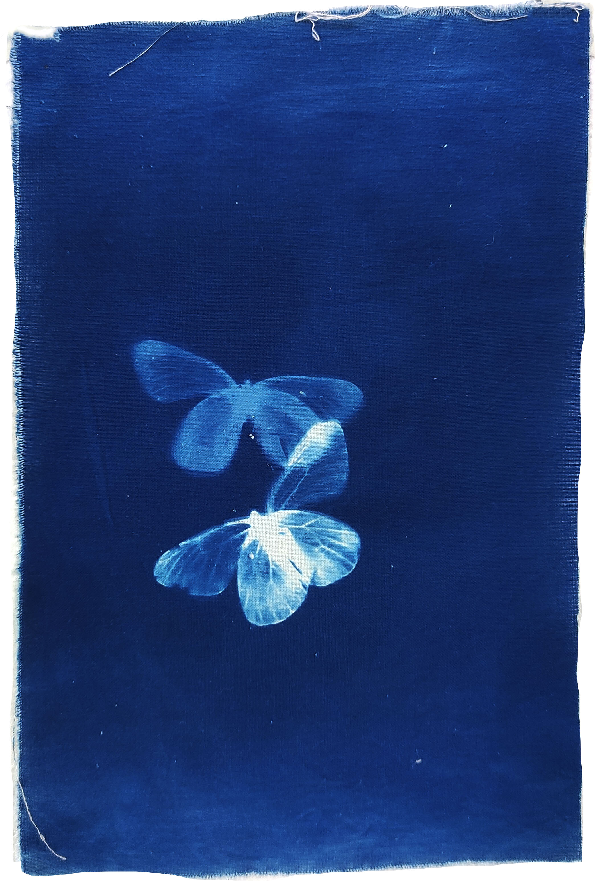 Художники рисуют для BURO.: Анастасия Безвершук — о Сибири, свете и неуловимости (фото 2)