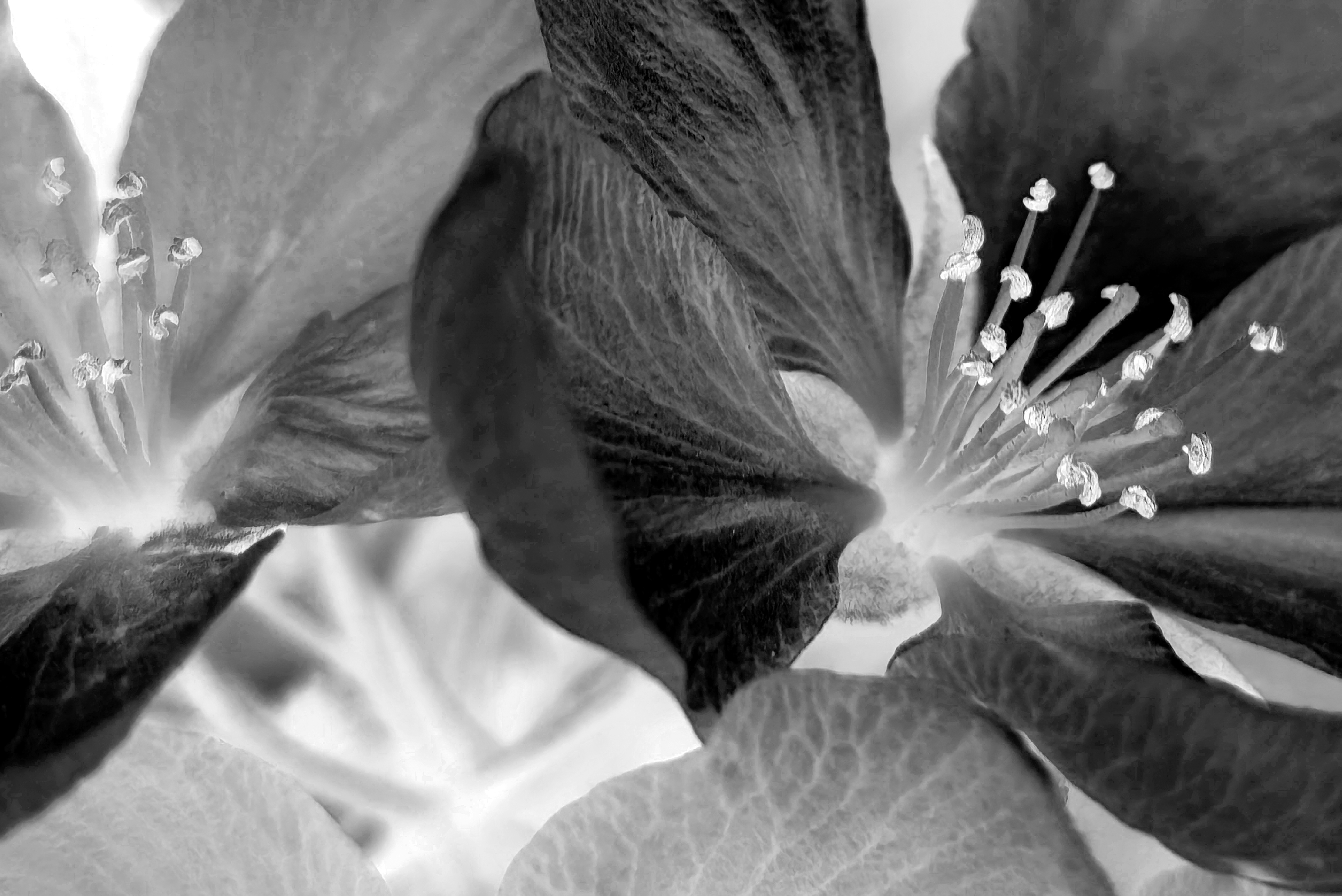 Художники рисуют для BURO.: Анастасия Безвершук — о Сибири, свете и неуловимости (фото 4)