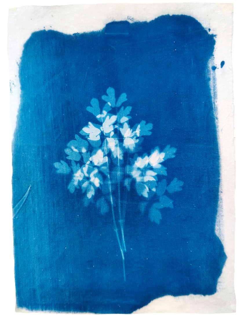 Художники рисуют для BURO.: Анастасия Безвершук — о Сибири, свете и неуловимости (фото 6)