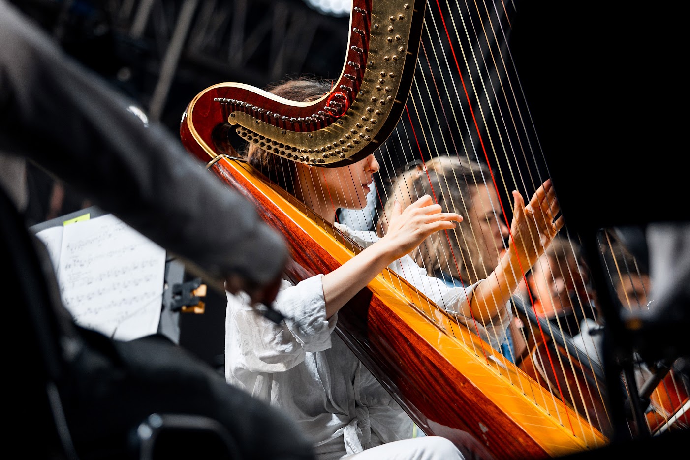 В «Зарядье» пройдет IV Фестиваль «Новая классика» (фото 2)