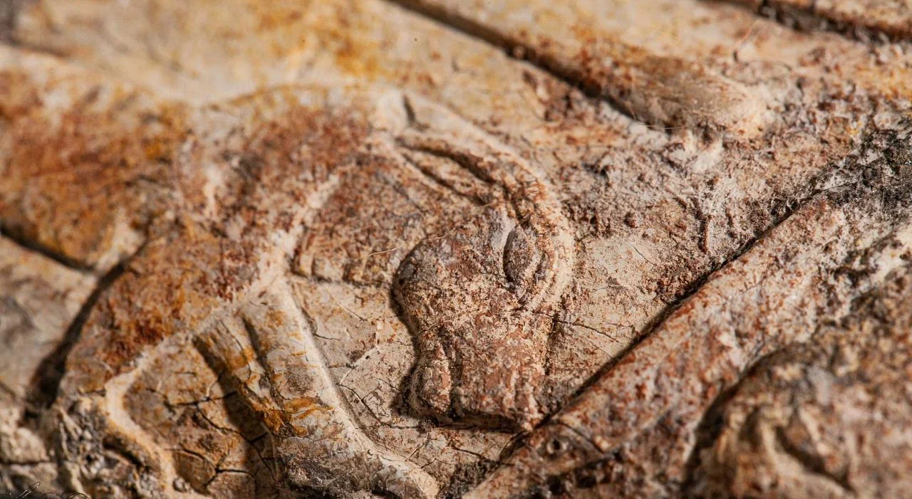 В Пушкинском стартует выставка, посвященная главным приобретениям музея последних лет (фото 2)