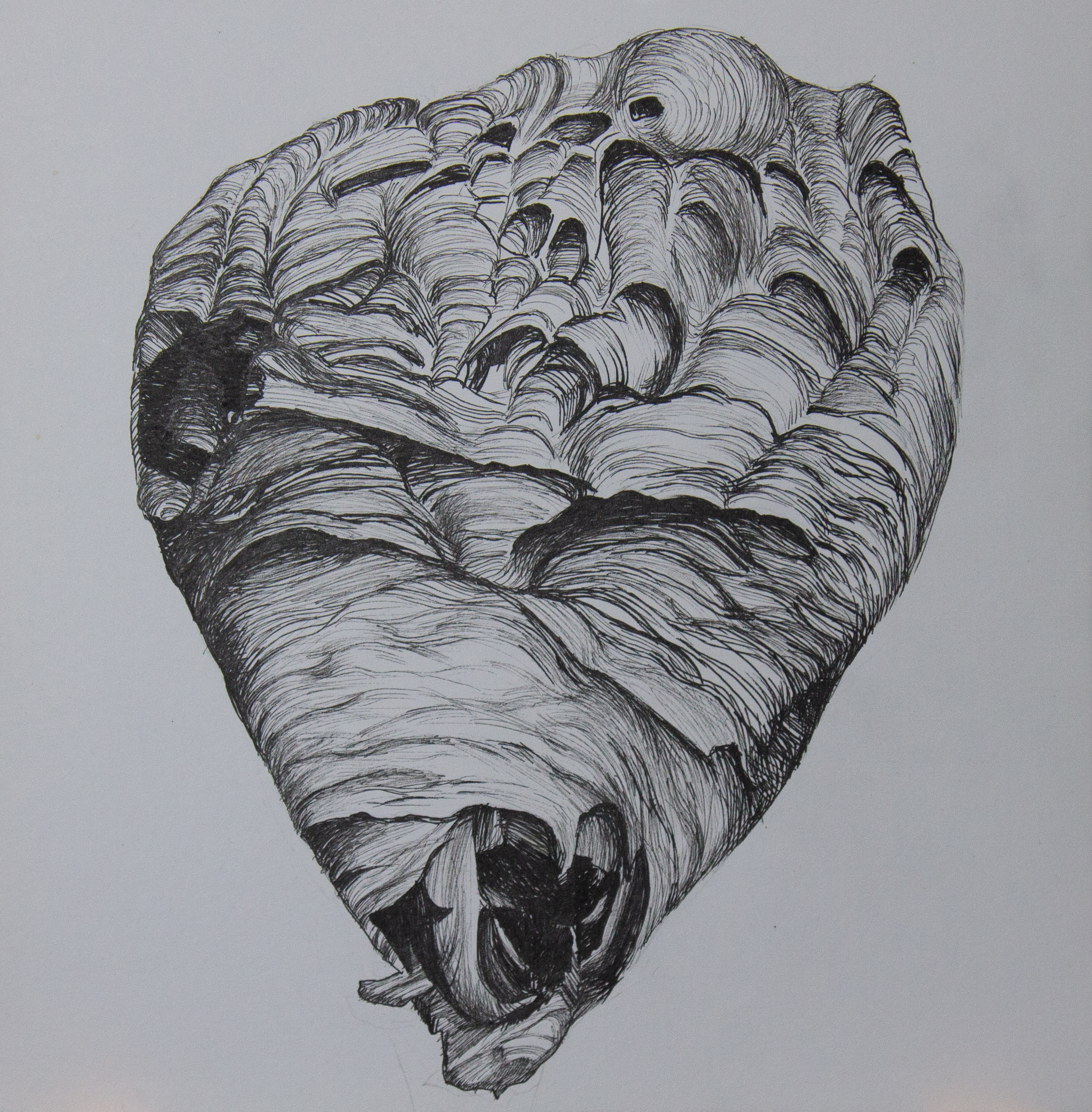 Художники рисуют для BURO.: участники Чувашской биеннале современного искусства — о доме (фото 14)