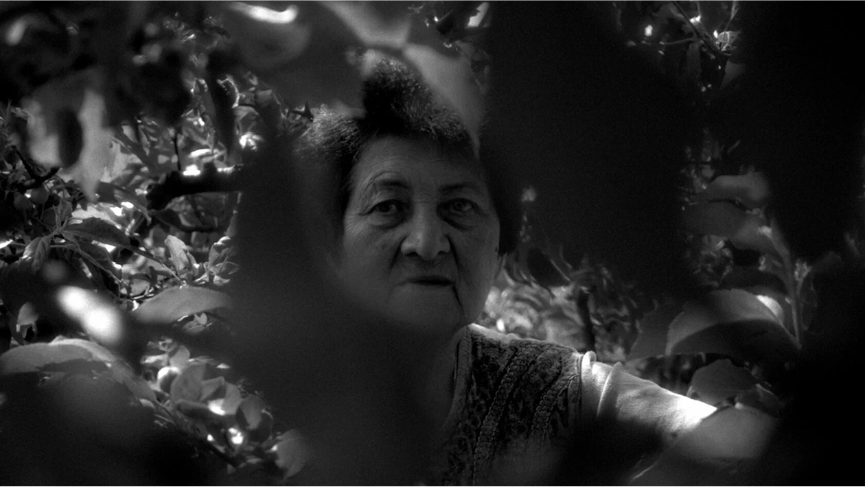 «Теплая жизнь» и «Колхандра»: какими фильмами запомнился девятый «Горький fest» в Нижнем Новгороде (фото 1)