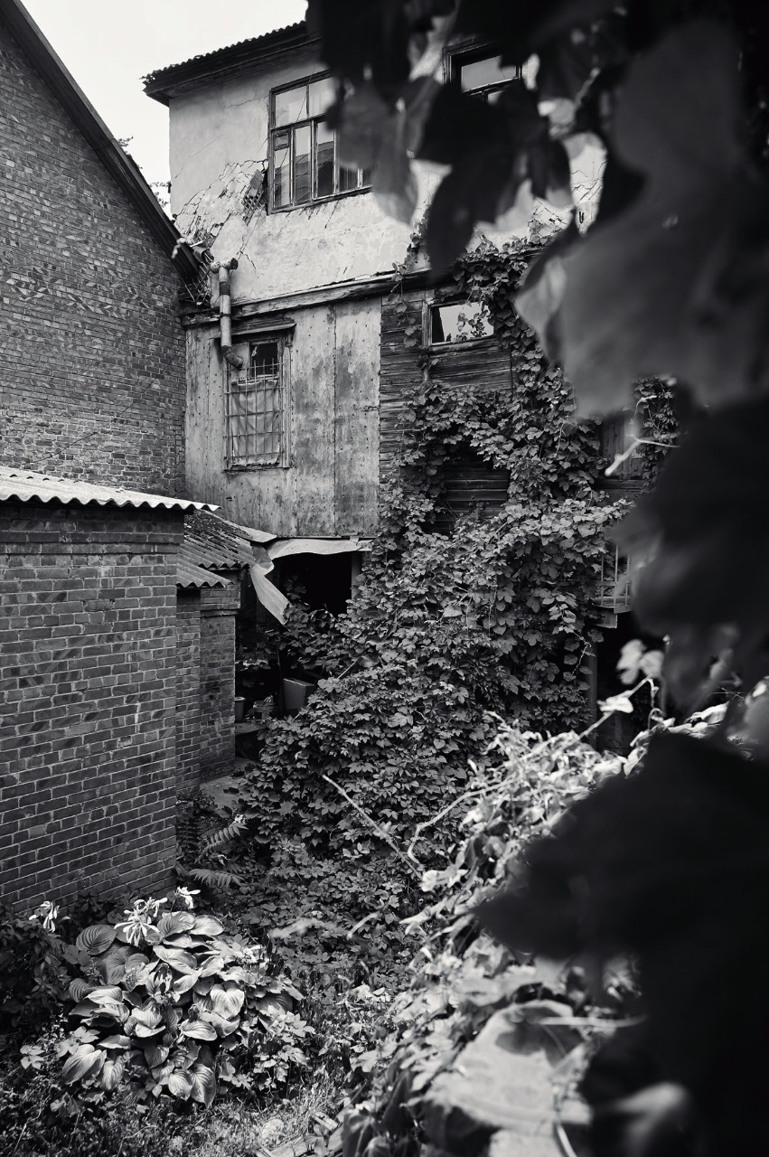 В кластере «Октава» откроется выставка «Город. Среда. Код» (фото 3)